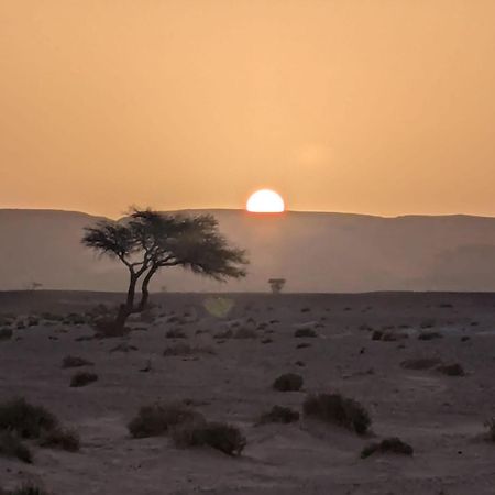 ホテル Mhamid Sahara Camp - Mhamid El Ghizlane マハミド エクステリア 写真