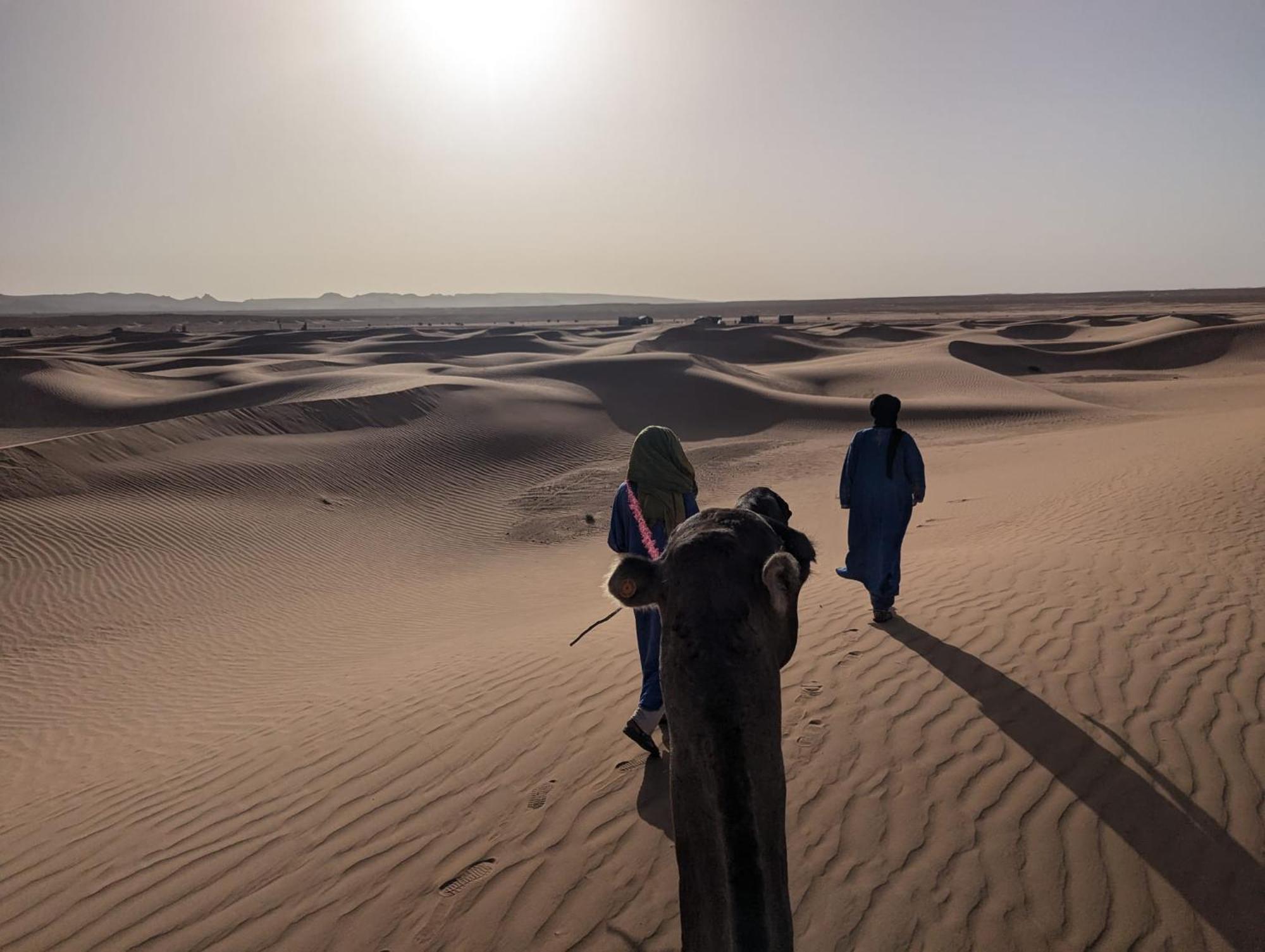 ホテル Mhamid Sahara Camp - Mhamid El Ghizlane マハミド エクステリア 写真
