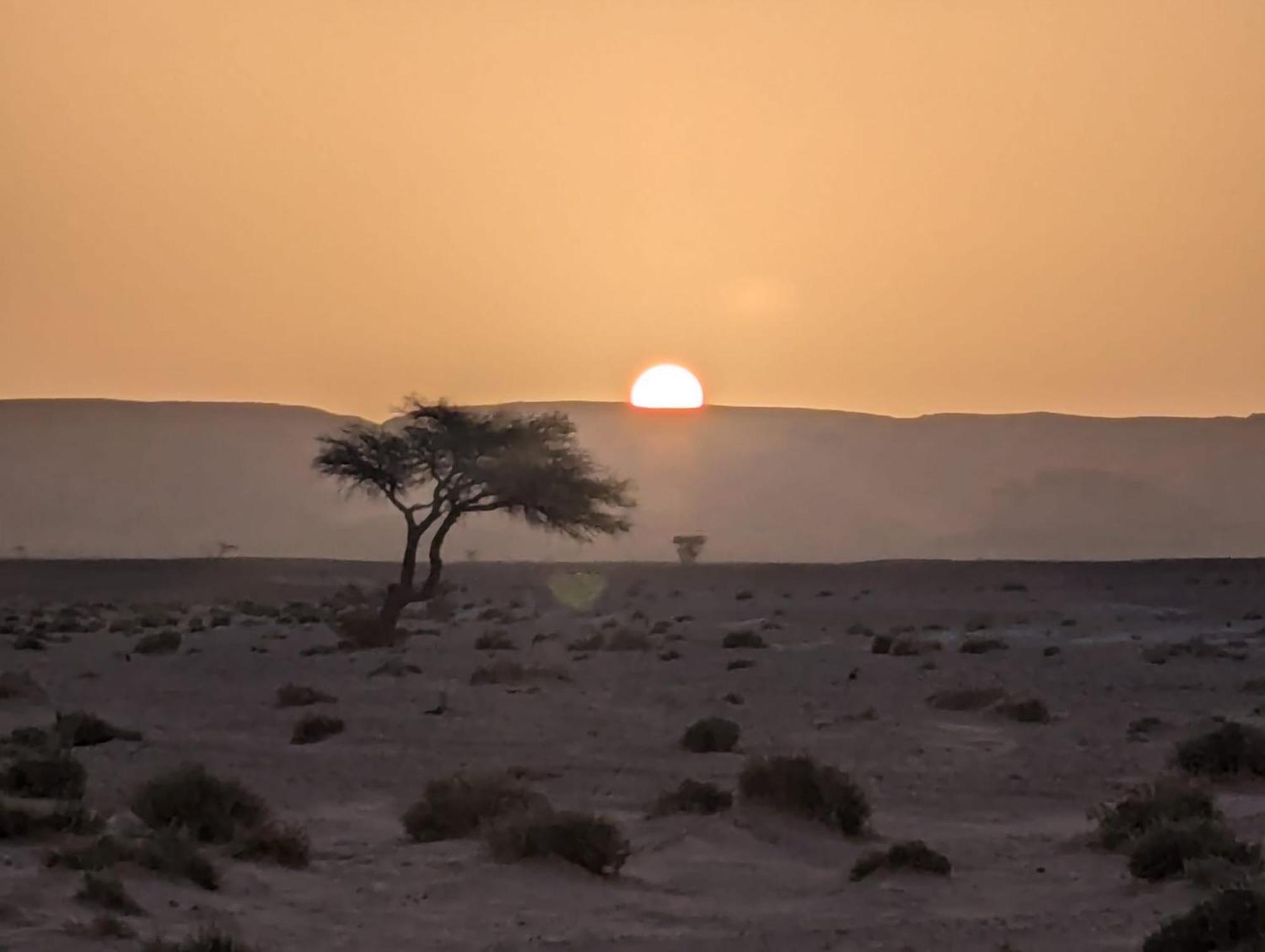 ホテル Mhamid Sahara Camp - Mhamid El Ghizlane マハミド エクステリア 写真